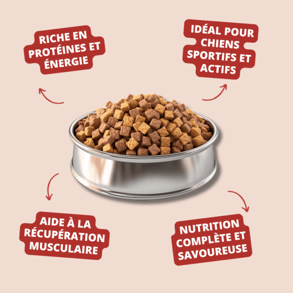 Visuel informatif des croquettes Vital Energy Carasco Pet Food