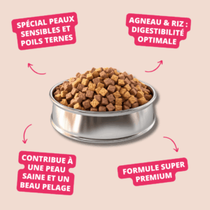 Adult HQ  Agneau et Riz​ – TAMCAN