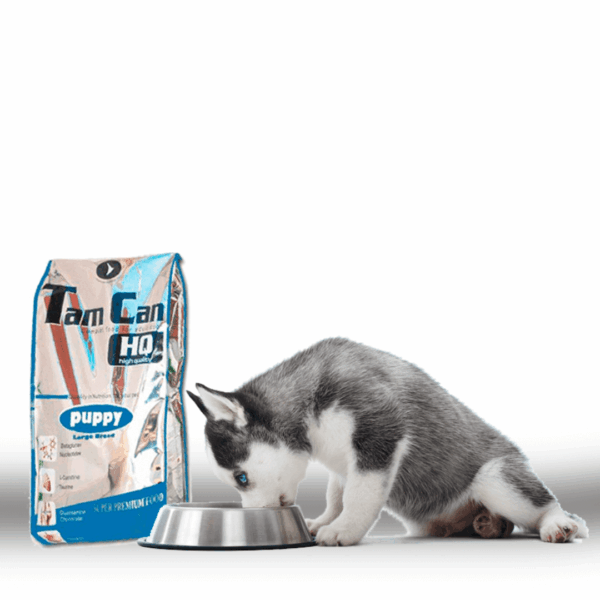 Chiots pour les croquettes chiots grandes races Carasco Pet Food