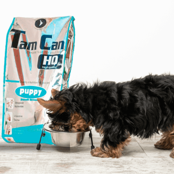 Chiots pour les croquettes chiots petites races Carasco Pet Food