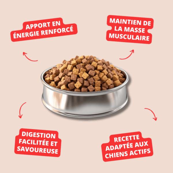 Visuel informatif des croquettes adult sport Carasco Pet Food