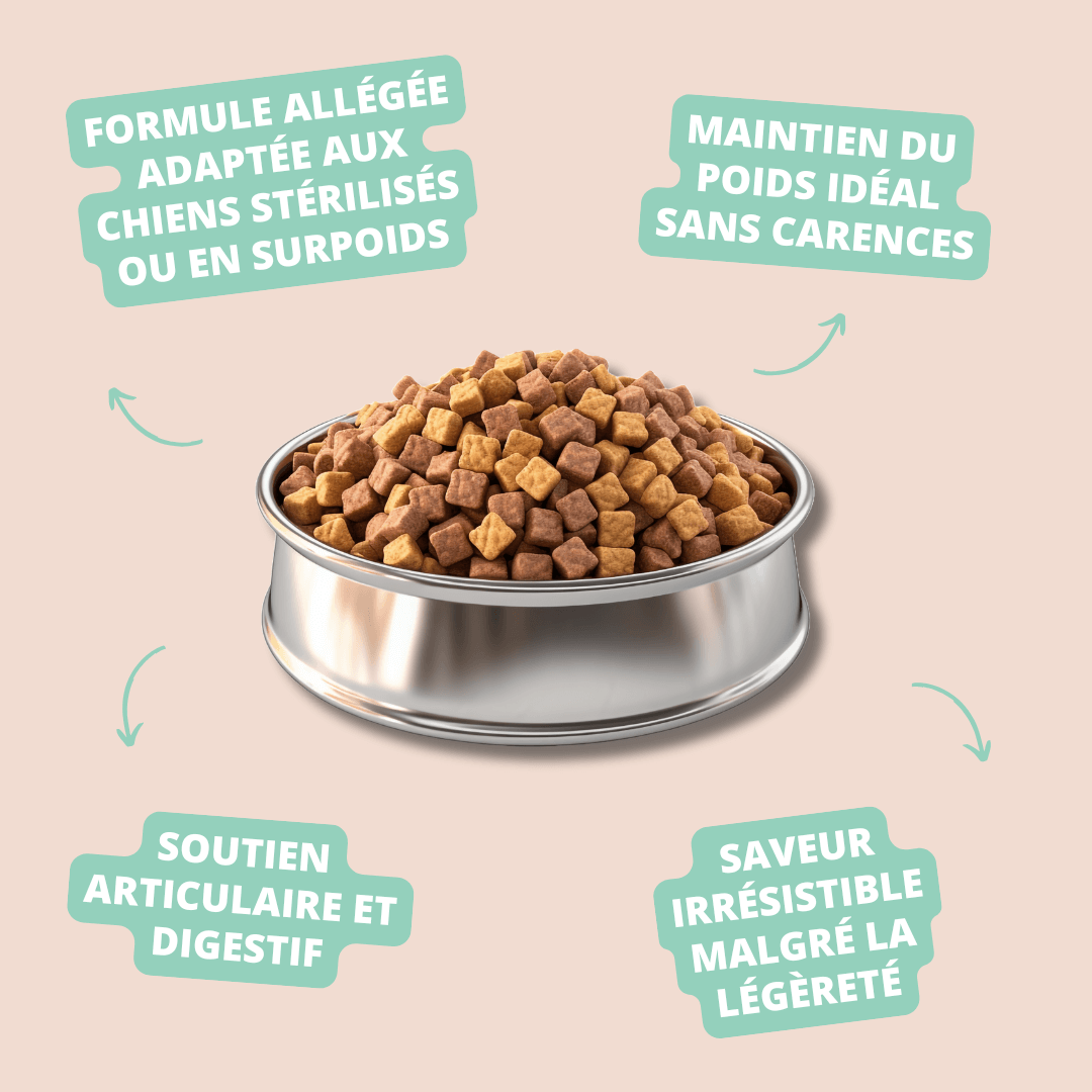 Visuel informatif des croquettes Senior Light Carasco Pet Food