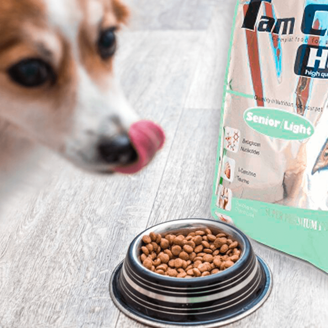 Chiens pour les croquettes senior light Carasco Pet Food