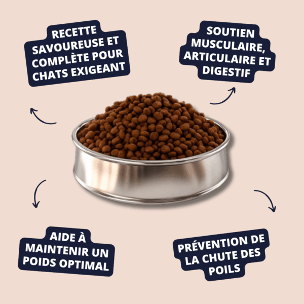 Visuel informatif des croquettes tamcat gourmet Carasco Pet Food