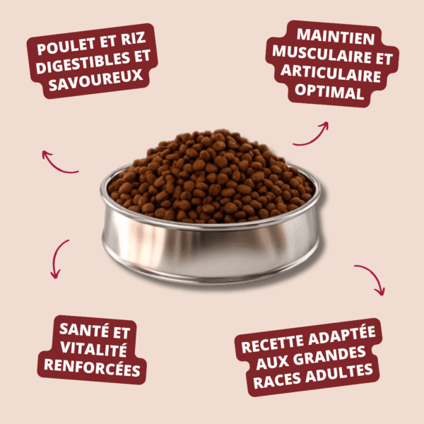Visuel informatif des croquettes adult select maxi chicken rice Carasco Pet Food
