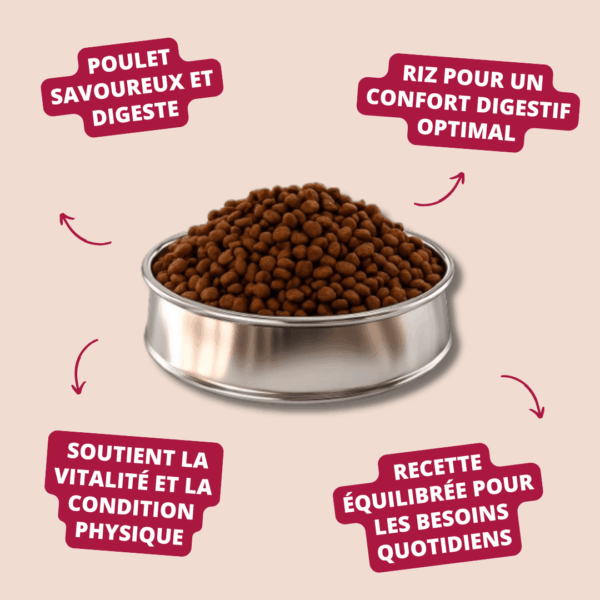 Visuel informatif des croquettes adult select medium chicken rice Carasco Pet Food