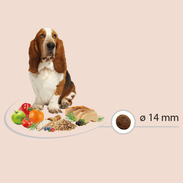 Chiens pour les croquettes adulte 7 years chicken rice Carasco Pet Food