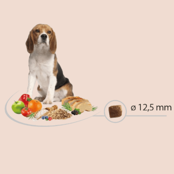 Chiens pour les croquettes ADULT LIGHT-STERILISED Carasco Pet Food