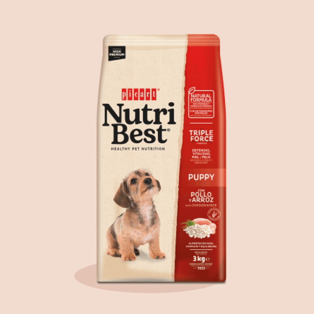 Visuel informatif des croquettes nutribest puppy Carasco Pet Food