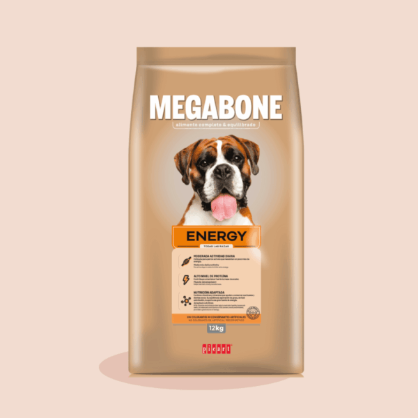 MEGABONE Energy - PICART