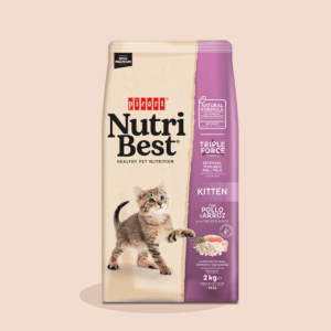 NUTRIBEST KITTY Chicken and Rice  – PICART