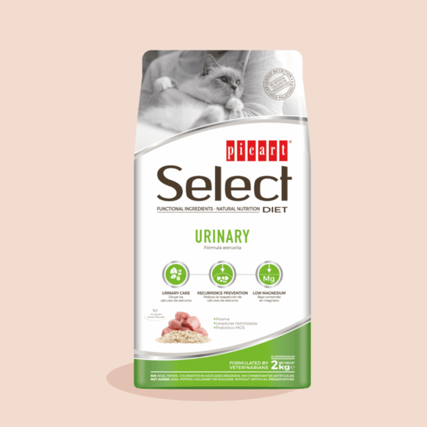 SELECT CAT URINARY - PICART