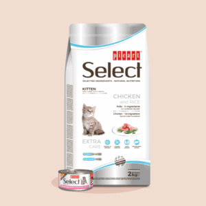 SELECT CAT KITTEN – PICART