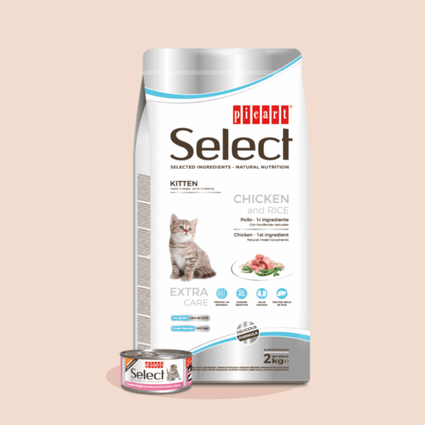 SELECT CAT KITTEN - PICART