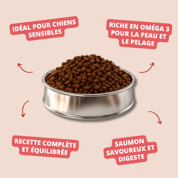 Visuel informatif des croquettes adult Sensitive Salmon Rice Carasco Pet Food
