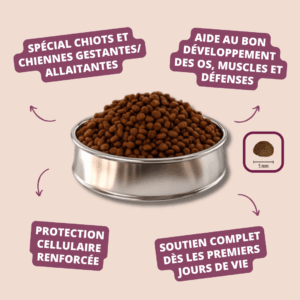 SELECT PROFESSIONNAL STARTER – PICART