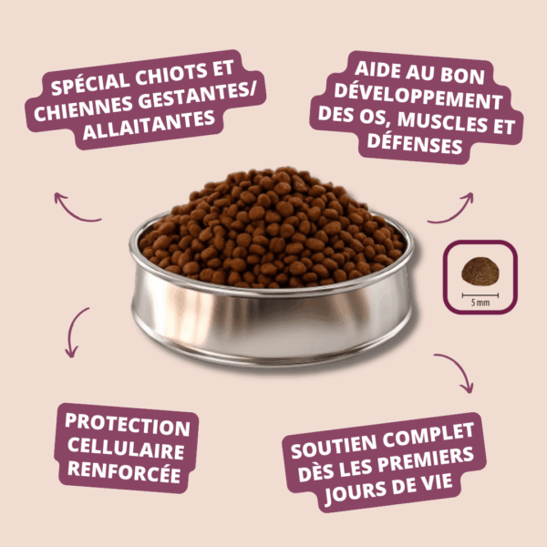 Visuel informatif des croquettes Select Pro Starter Carasco Pet Food