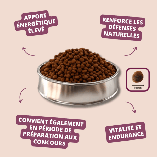 Visuel informatif des croquettes Select Pro High Energy Carasco Pet Food