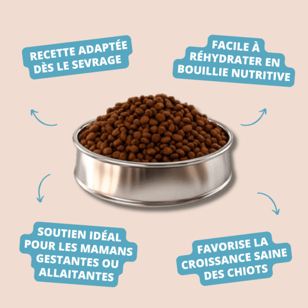 Visuel informatif des croquettes Puppy Starter Carasco Pet Food