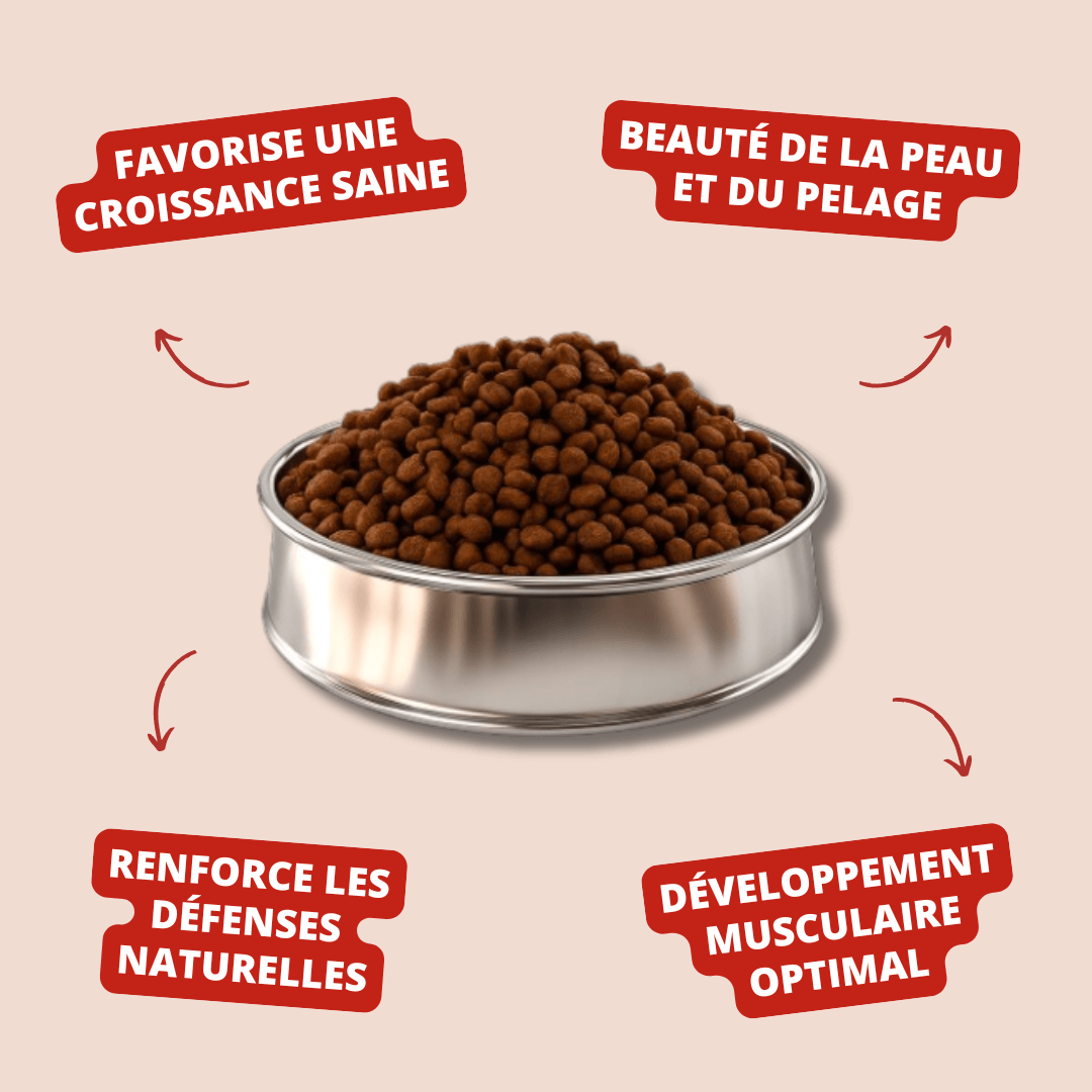 Visuel informatif des croquettes Nutribest puppy Carasco Pet Food
