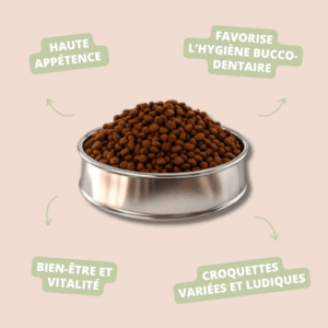 MEGABONE Mix Complet – PICART