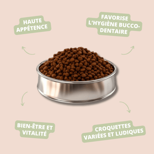MEGABONE Mix Complet - PICART – Image 2
