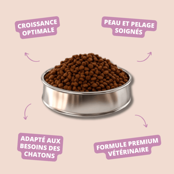 NUTRIBEST KITTY Chicken and Rice  - PICART – Image 2