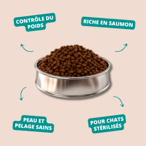 NUTRIBEST CAT ADULT Sterilised Saumon and Rice – PICART