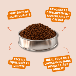 SELECT PUPPY MEDIUM Chicken and Rice – PICART
