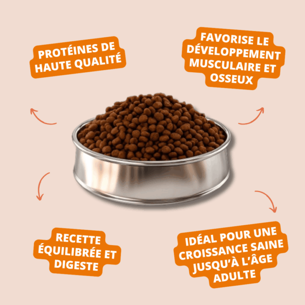 Visuel informatif des croquettes Puppy Medium Carasco Pet Food