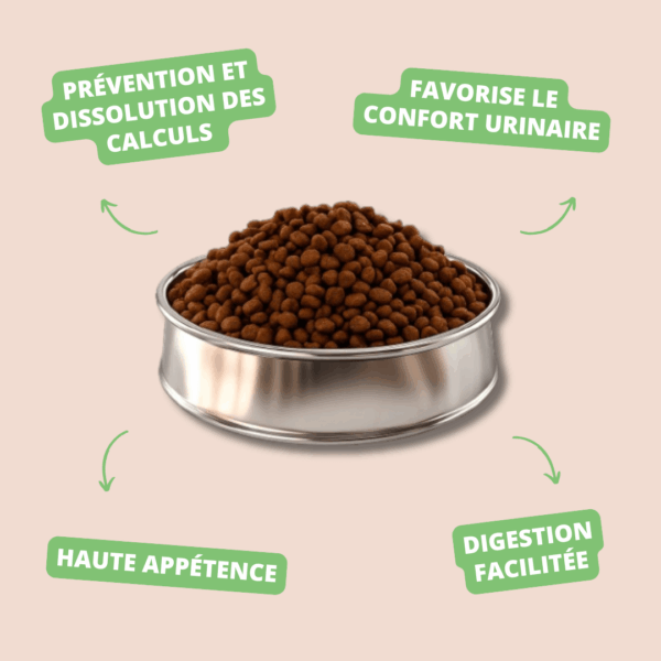 SELECT CAT URINARY - PICART – Image 2