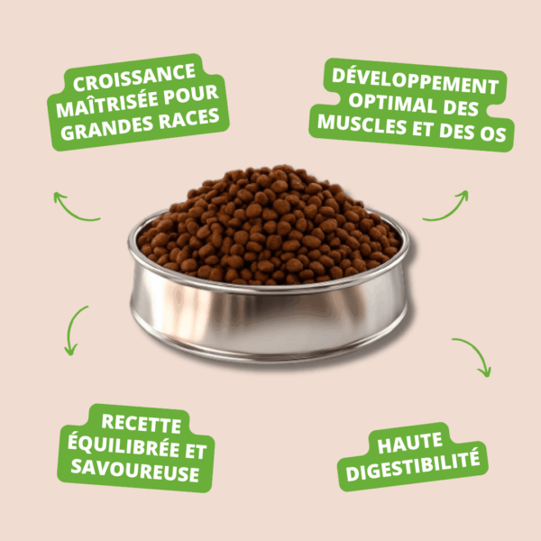 Visuel informatif des croquettes Puppy Maxi Carasco Pet Food
