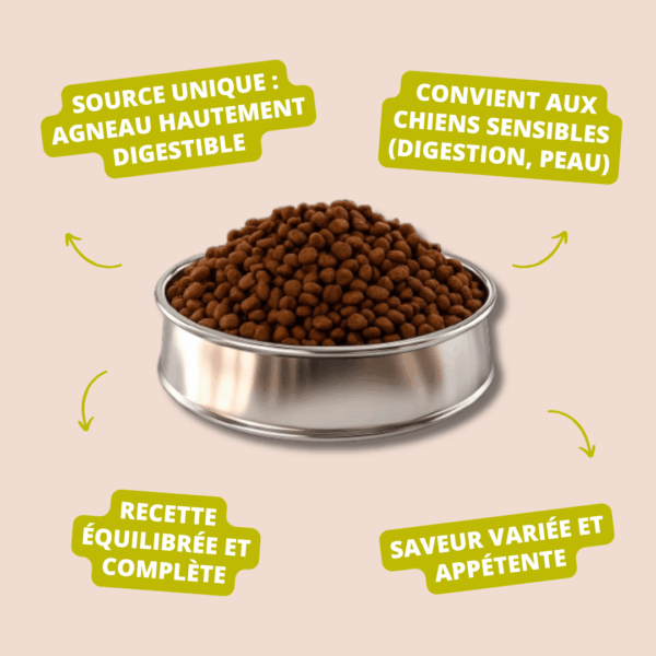 Visuel informatif des croquettes Mini Adult Lamb Carasco Pet Food
