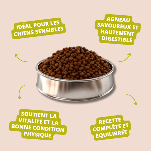 Visuel informatif des croquettes adult Sensitive Lamb Rice Carasco Pet Food