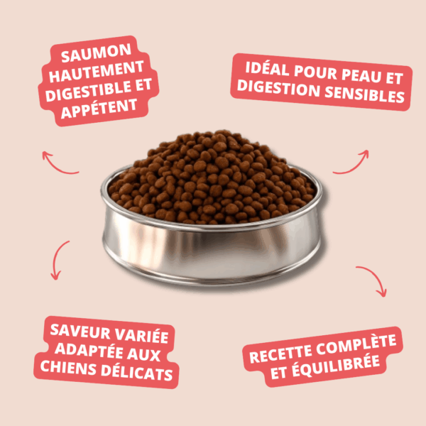Visuel informatif des croquettes Mini Adult Salmon Carasco Pet Food