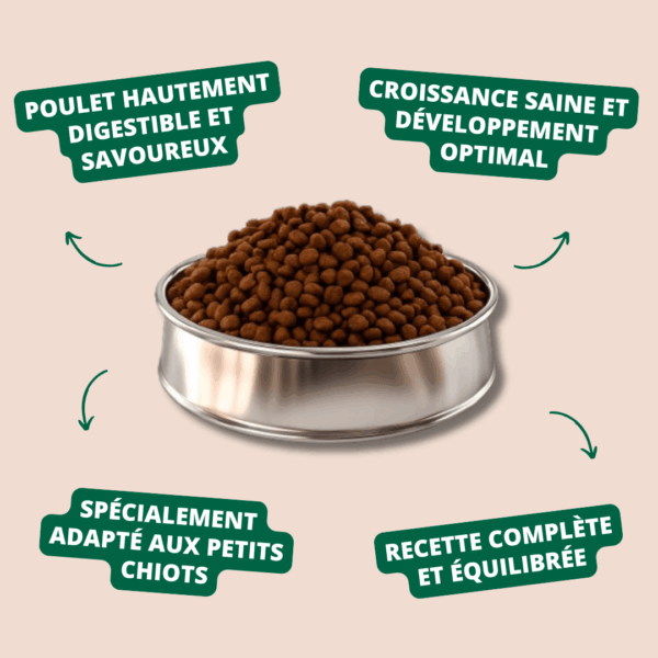 Visuel informatif des croquettes Mini Puppy Carasco Pet Food
