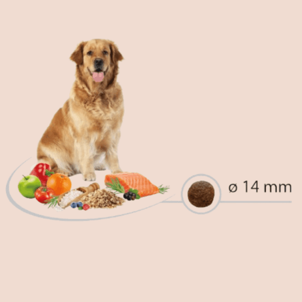 Chiens pour les croquettes adulte Sensitive Salmon Rice Carasco Pet Food