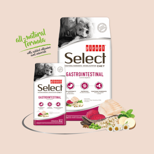 Chiens pour les croquettes Diet Gastrointestinal Carasco Pet Food
