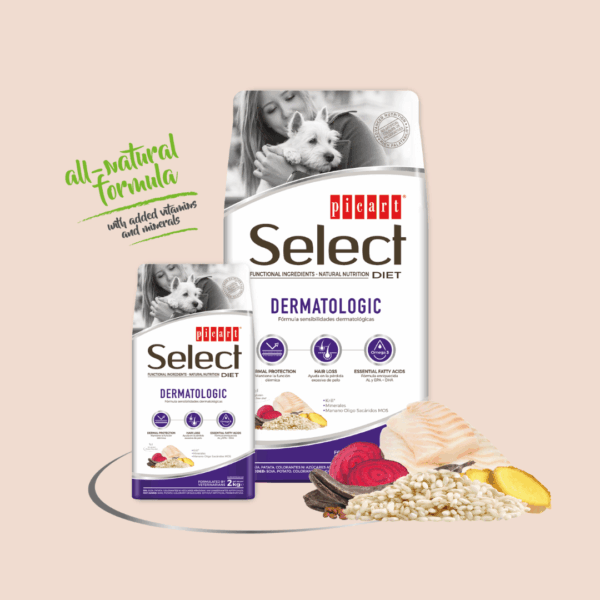 Chiens pour les croquettes Diet Dermatologic Carasco Pet Food