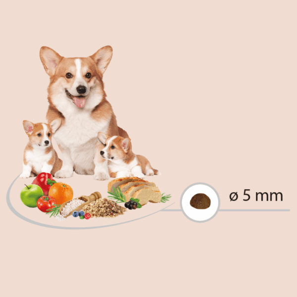 Chiots pour les croquettes Puppy Starter Carasco Pet Food