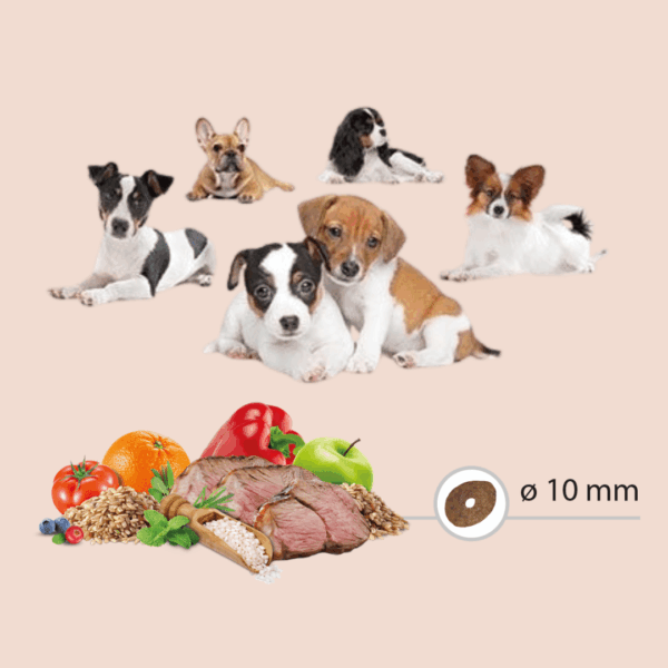 Chiens pour les croquettes Mini Adult Lamb Carasco Pet Food