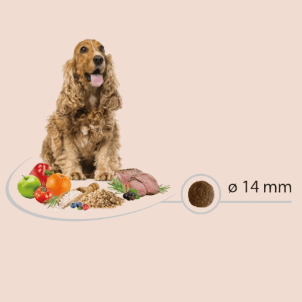 Chiens pour les croquettes adulte Sensitive Lamb Rice Carasco Pet Food