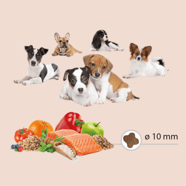 Chiens pour les croquettes Mini Adult Salmon Carasco Pet Food