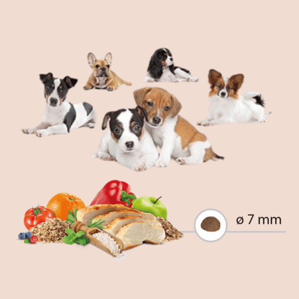 Chiens pour les croquettes Mini Puppy Carasco Pet Food