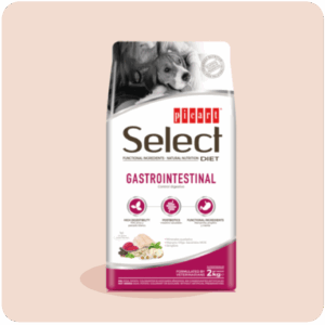SELECT DIET GASTROINTESTINAL – PICART