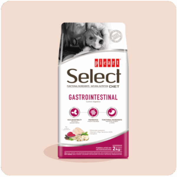 SELECT DIET GASTROINTESTINAL - PICART
